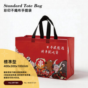 Non woven standard tote bag-12